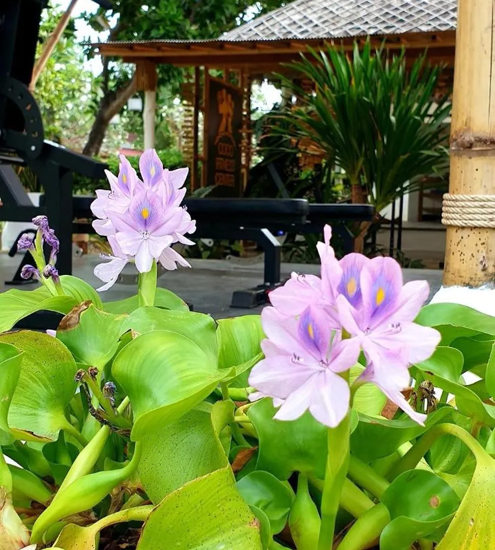 Coco Lanta Resort - Sha Extra Plus Ko Lanta 3*,  Ταϊλάνδη
